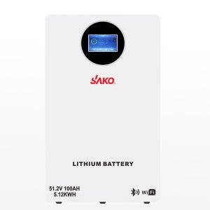 SAKO LI-SUN Lithium Battery Pack 51.2V100Ah 5kwh